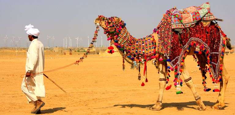 Pushkar Fair, Pushkar