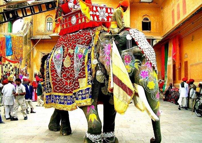 Elephant Festival