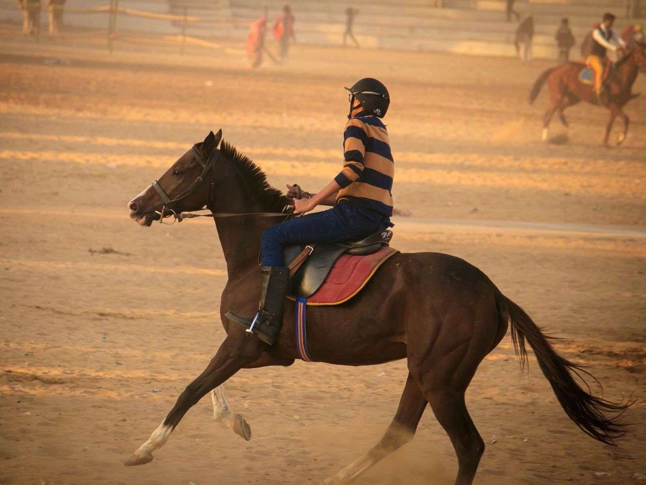 Pushkar Fair Horse Safari