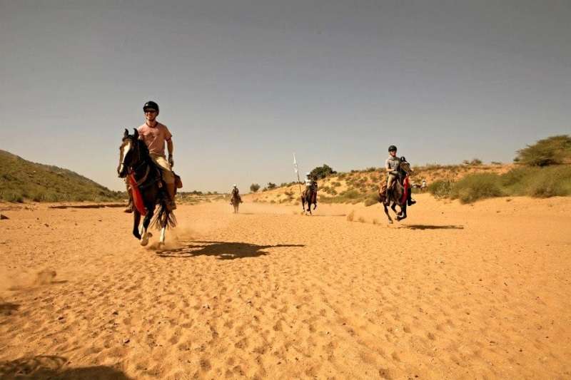 Rural Rajasthan Horse Safari