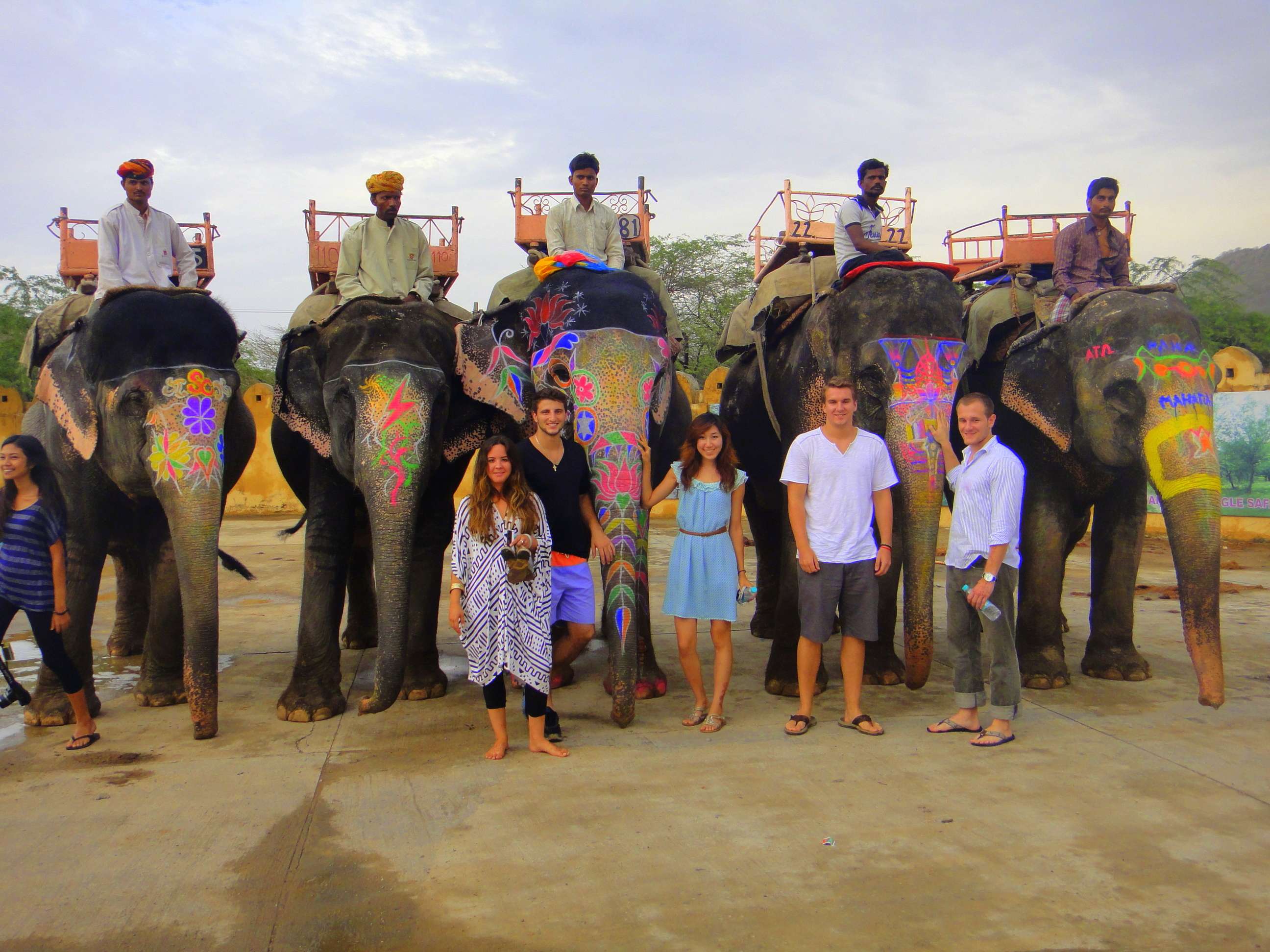 Elephant Safari Jaipur