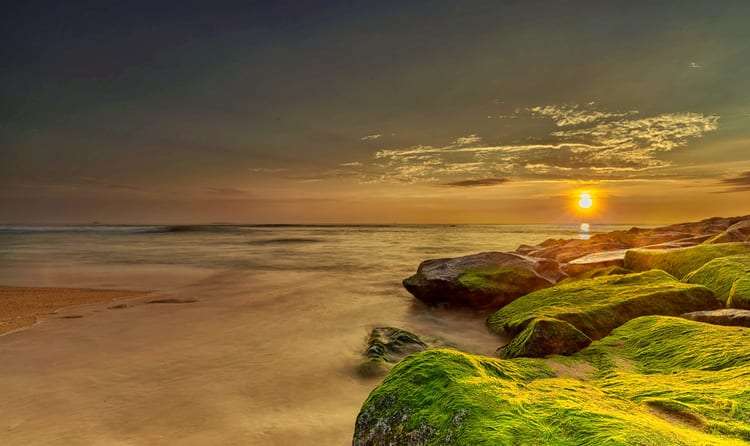 Udupi (403 Km from Bangalore)