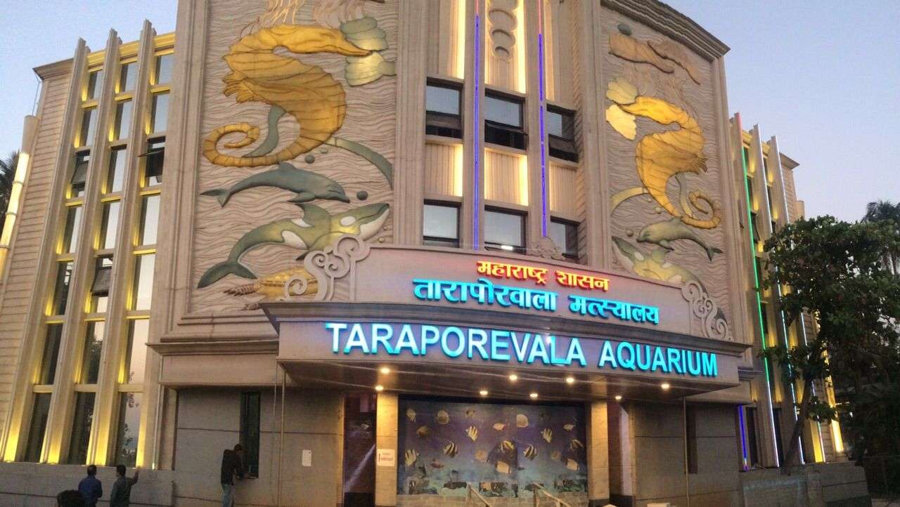 Taraporewala Aquarium (22 km from Mumbai Airport)