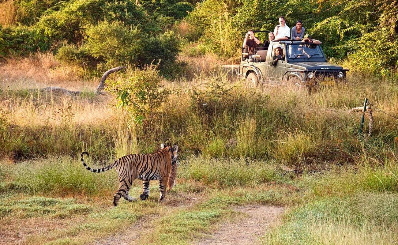 Jungle Safari at Sajjangarh Wildlife Sanctuary