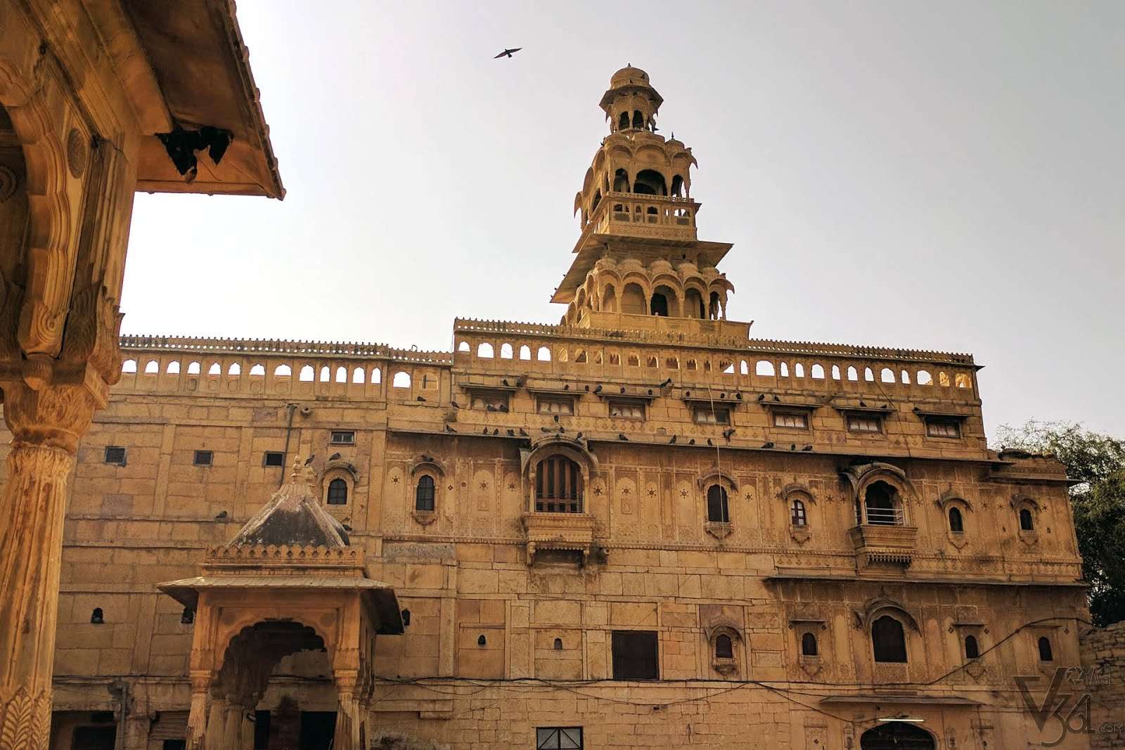 Visit the Tazia Tower