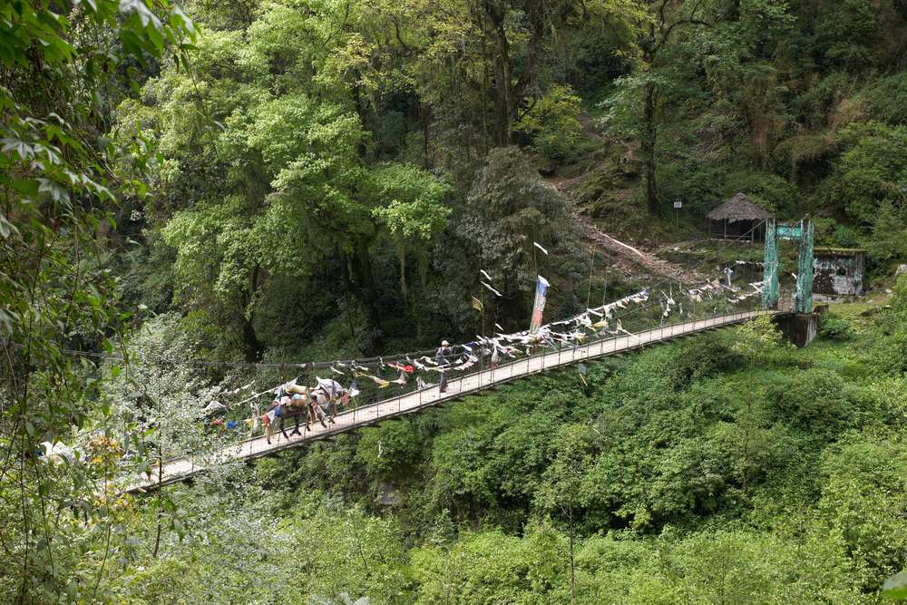 Khangchendzonga National Park