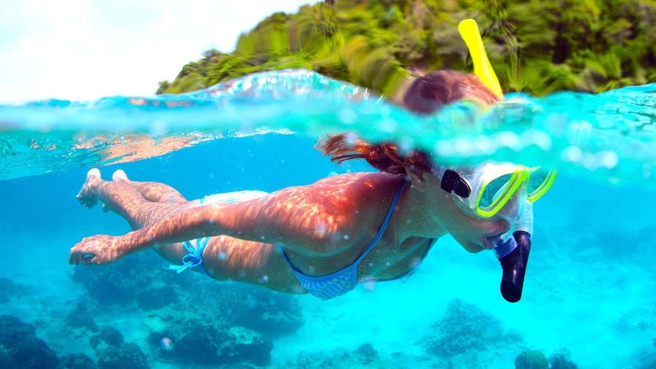 Snorkeling In Havelock