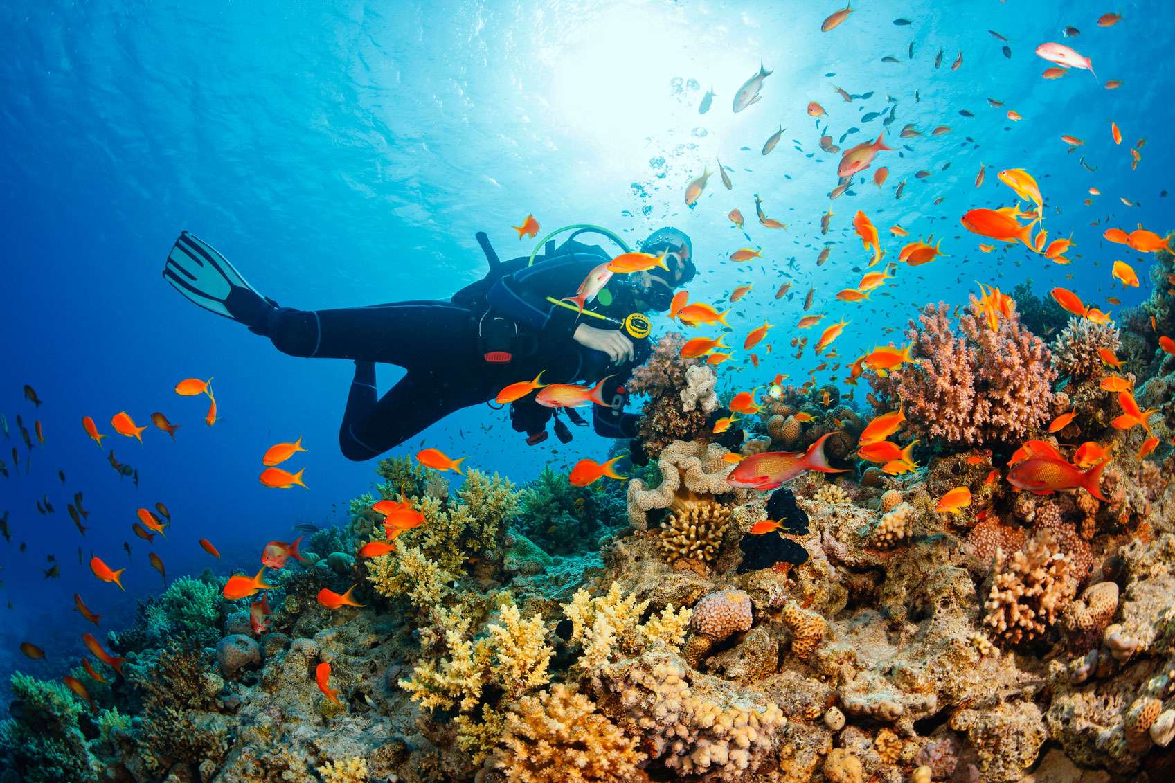 Scuba Diving in Havelock, Book Online @ ₹3999 Only!