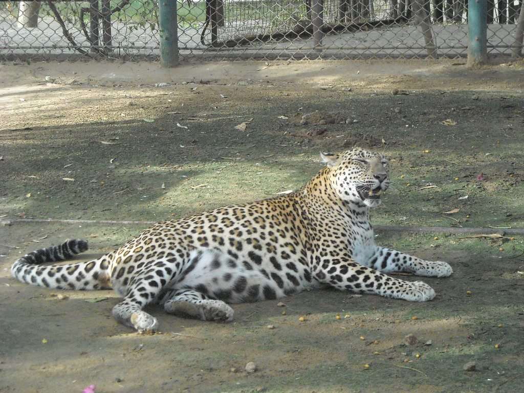 Ram Niwas Bagh and Zoo