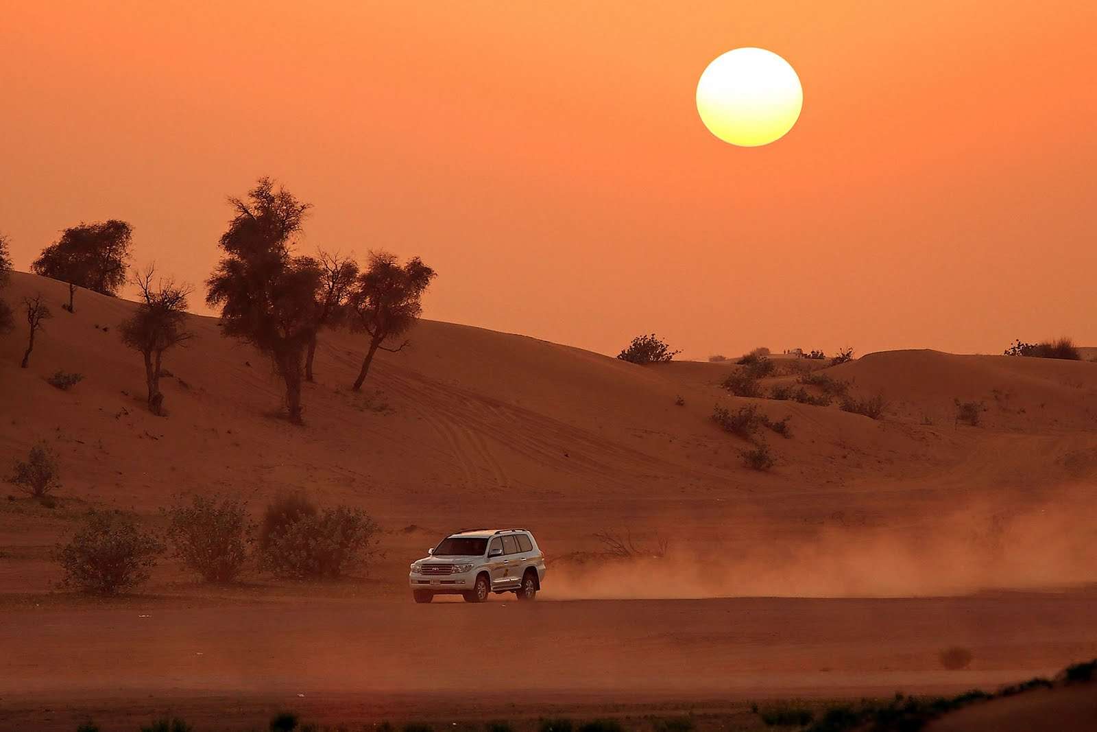 Overnight Desert Safari in Dubai