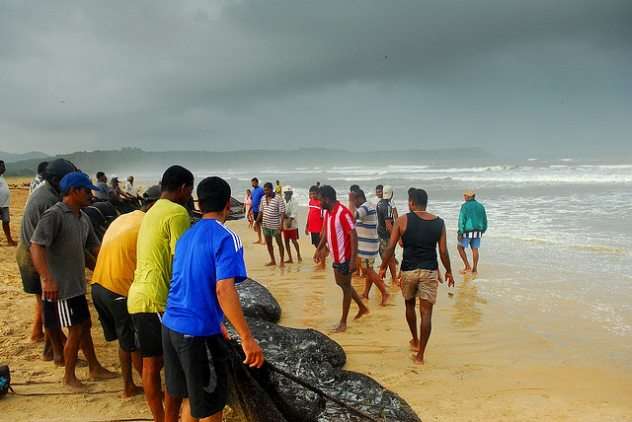 Sport Fishing in Panjim, Goa