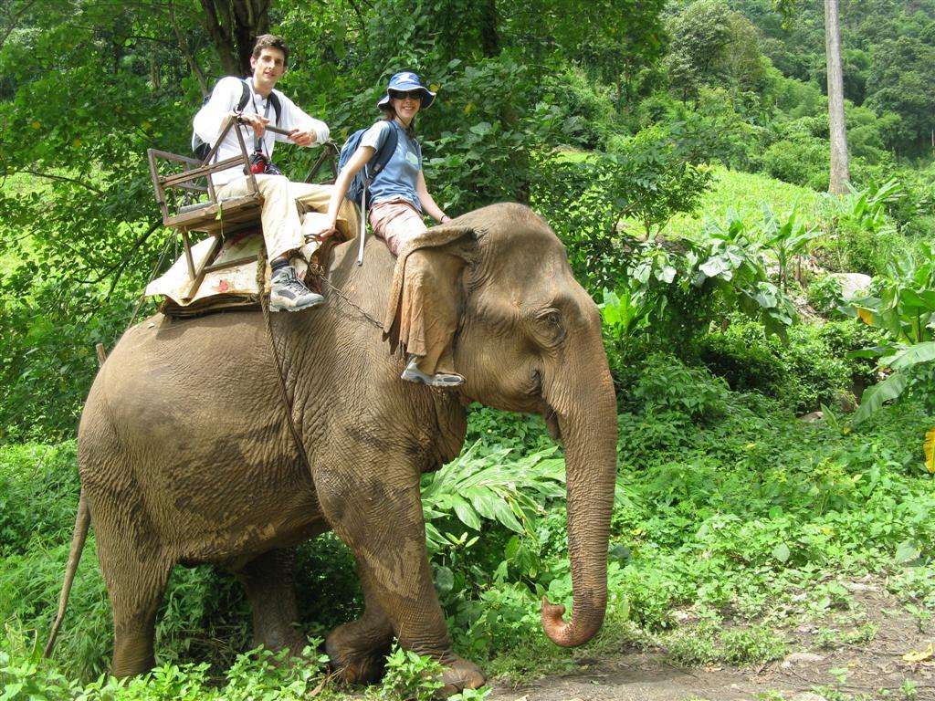 Elephant Ride