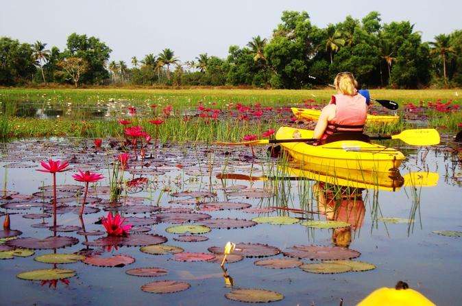 Kayaking in Sal Backwaters