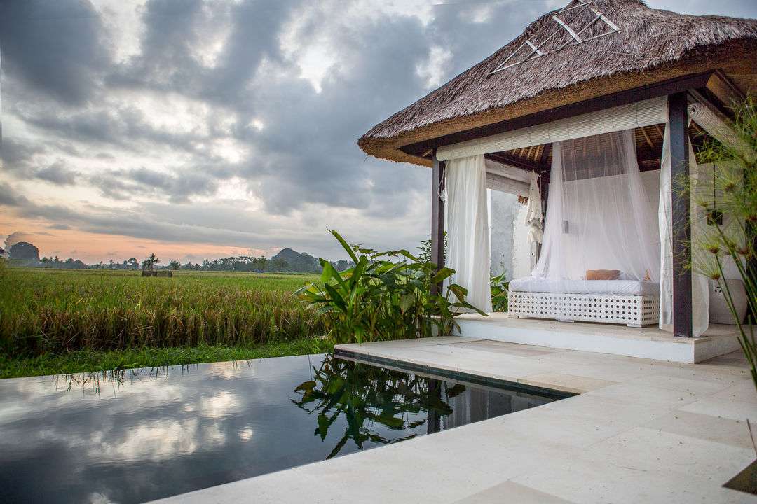 Putting honey in the Honeymoon at Honey Moon Villa