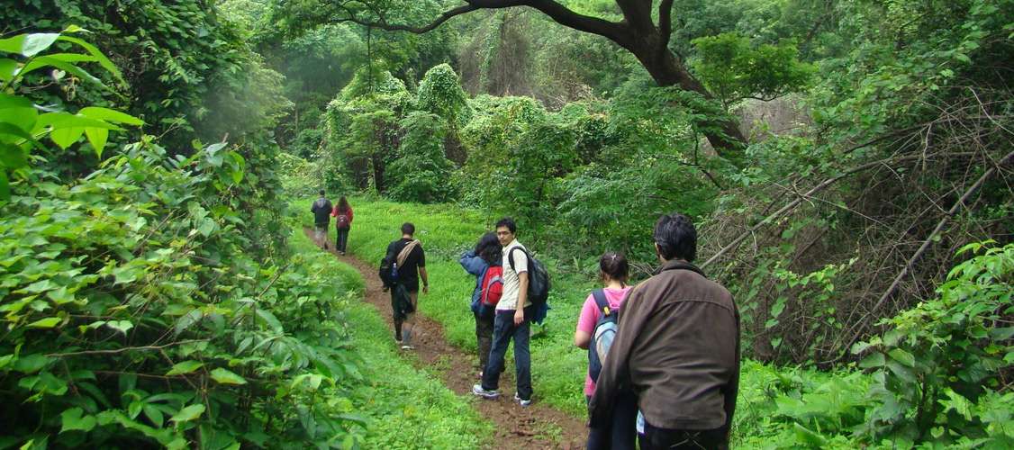 Adventure Trekking at Chidiyatapu
