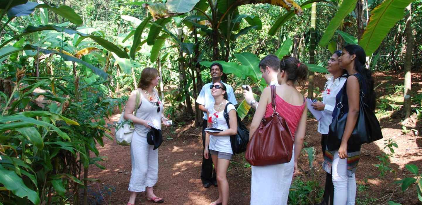 Tour a Spice Plantation in Goa
