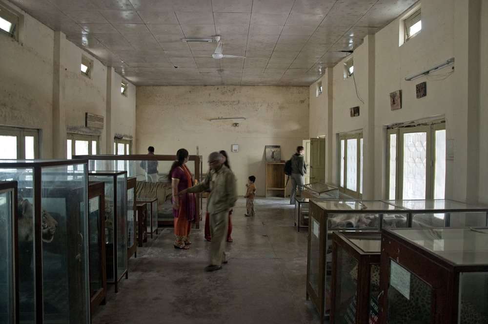 Dhangari Museum (20 km from Jim Corbett)