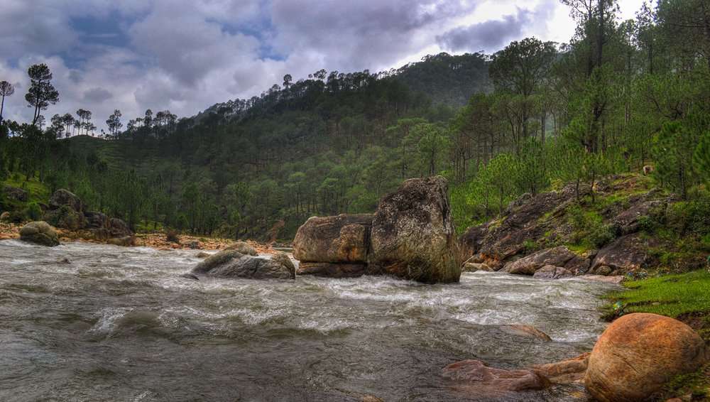 Kosi River (35 km from Jim Corbett)