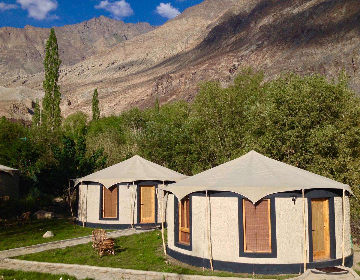 Mystique Meadows Camp