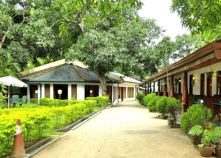 Comfortable Stay at Eco-Tourism Heaven, Udawalawe