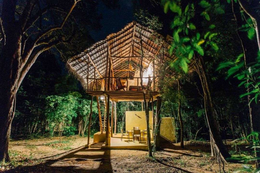 Back of Beyond, Sigiriya - Cozy Treehouse