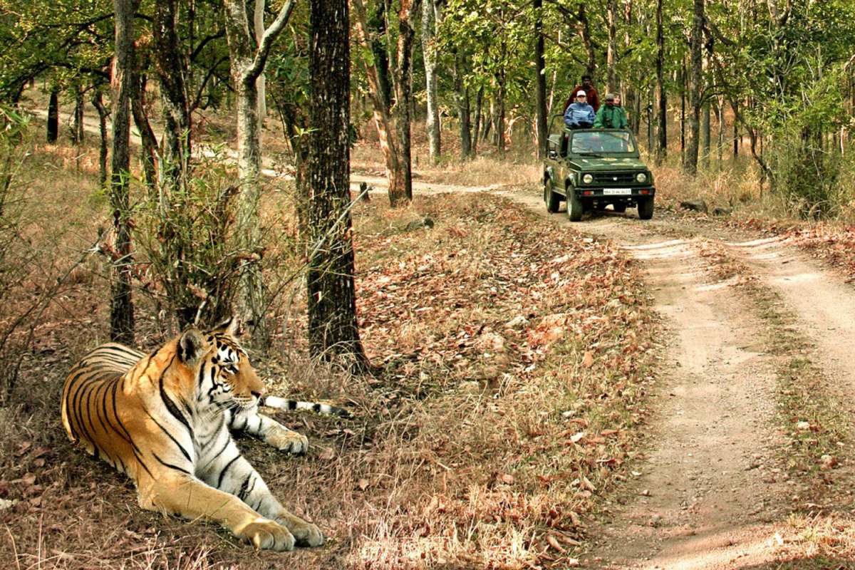 How to Reach Jim Corbett National Park