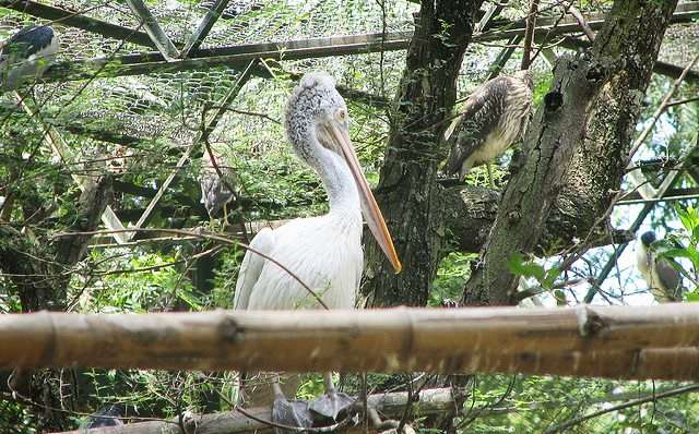 Bannerghatta, Karnataka