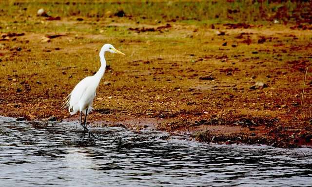 Nagarhole, Karnataka