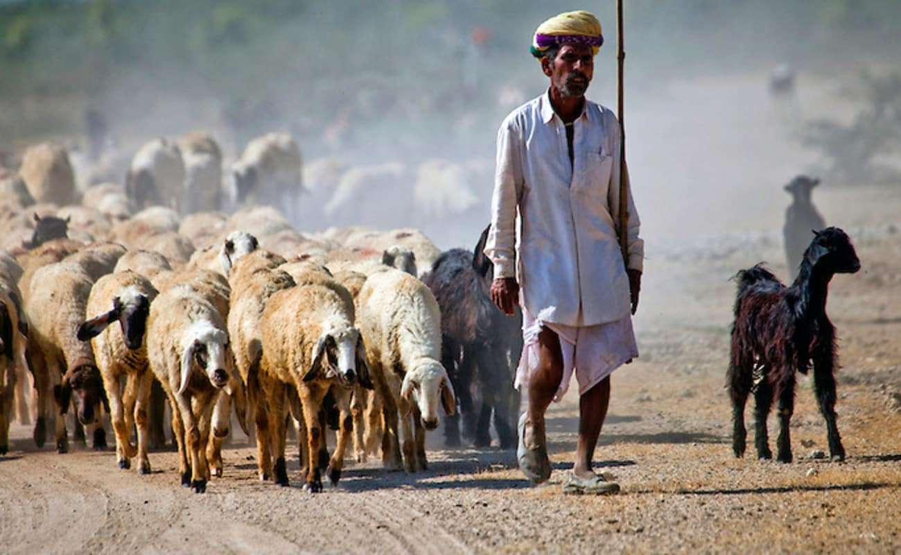 Village Photography Tours