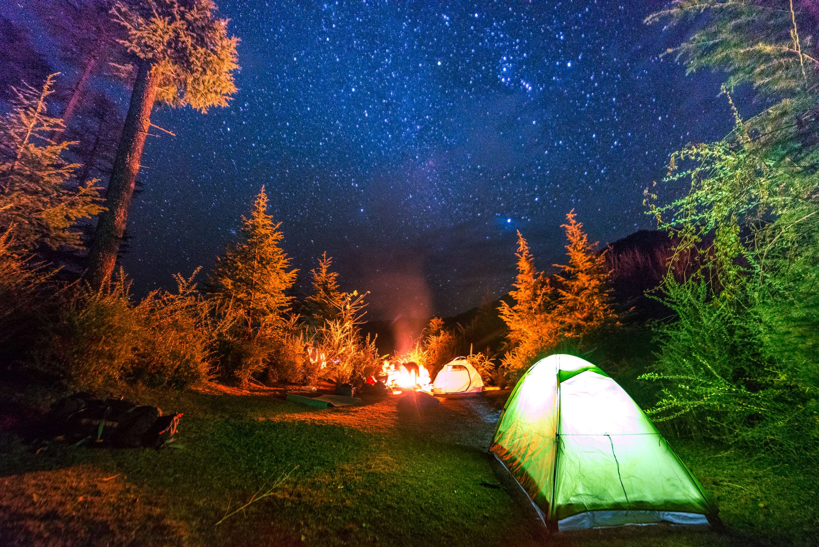 Camping in Manali or Shimla 