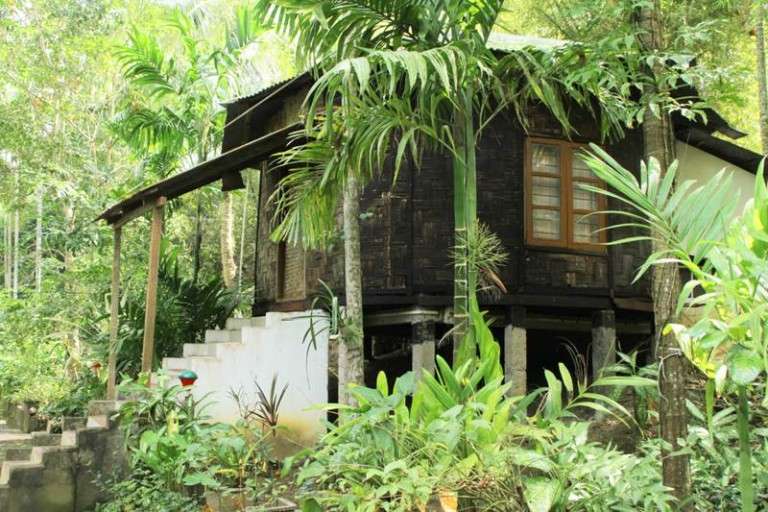 Palm Grove Eco Resort