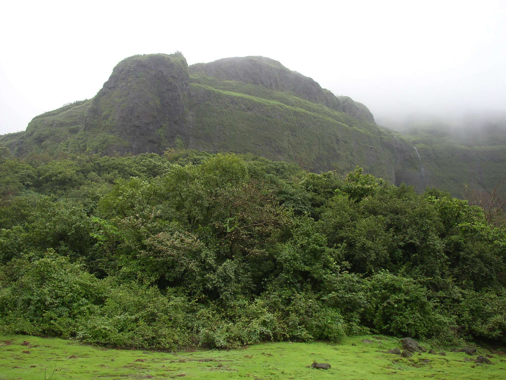 Tamhini Ghat (70 km from Pune)