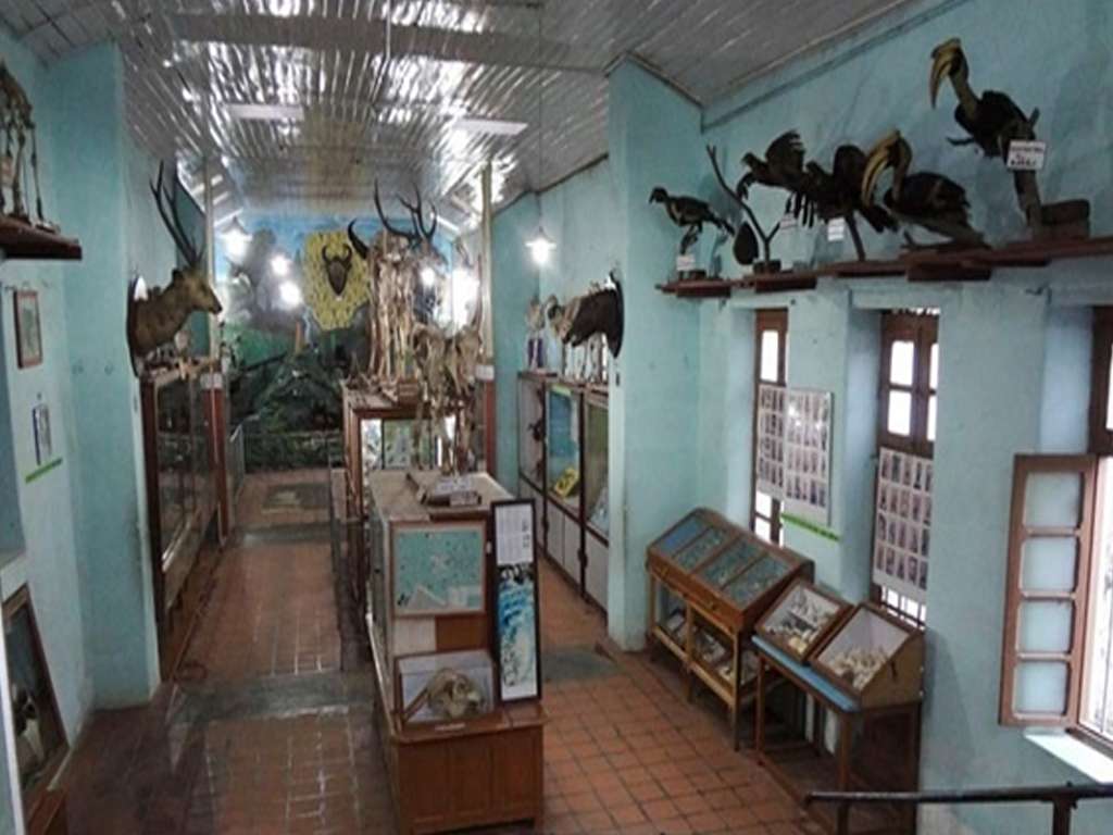  Shembaganur Museum of Natural History