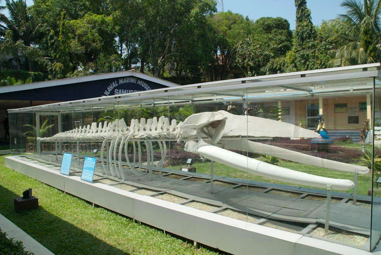 Visit Samudrika Museum