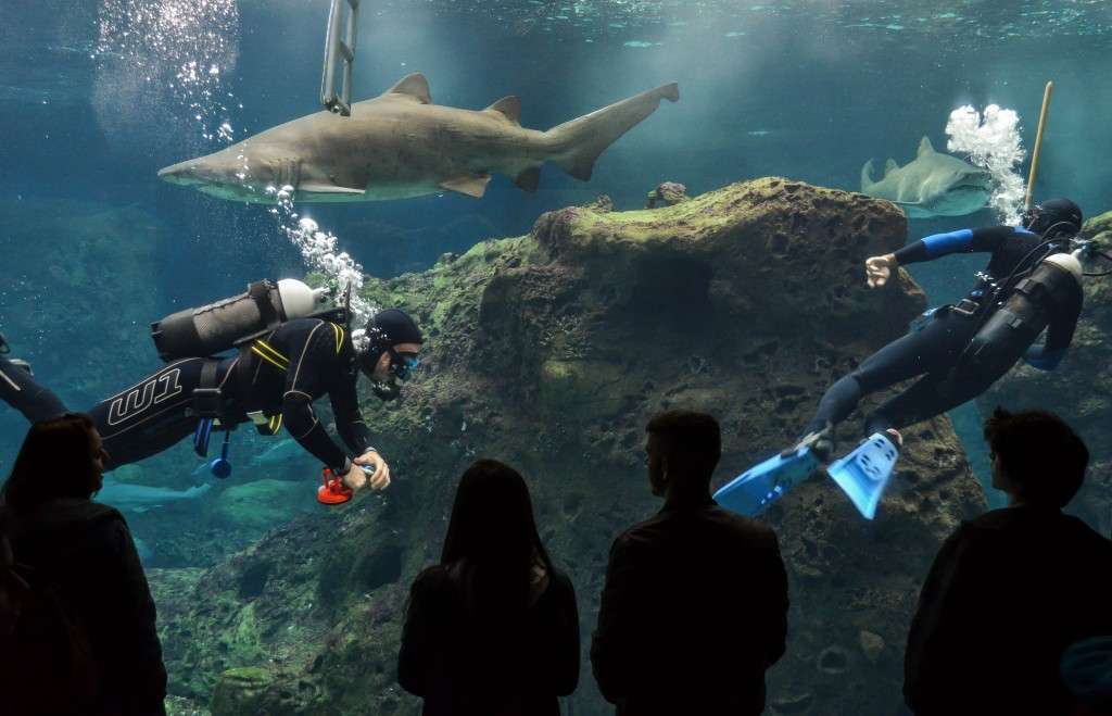 Things to Do in Crete