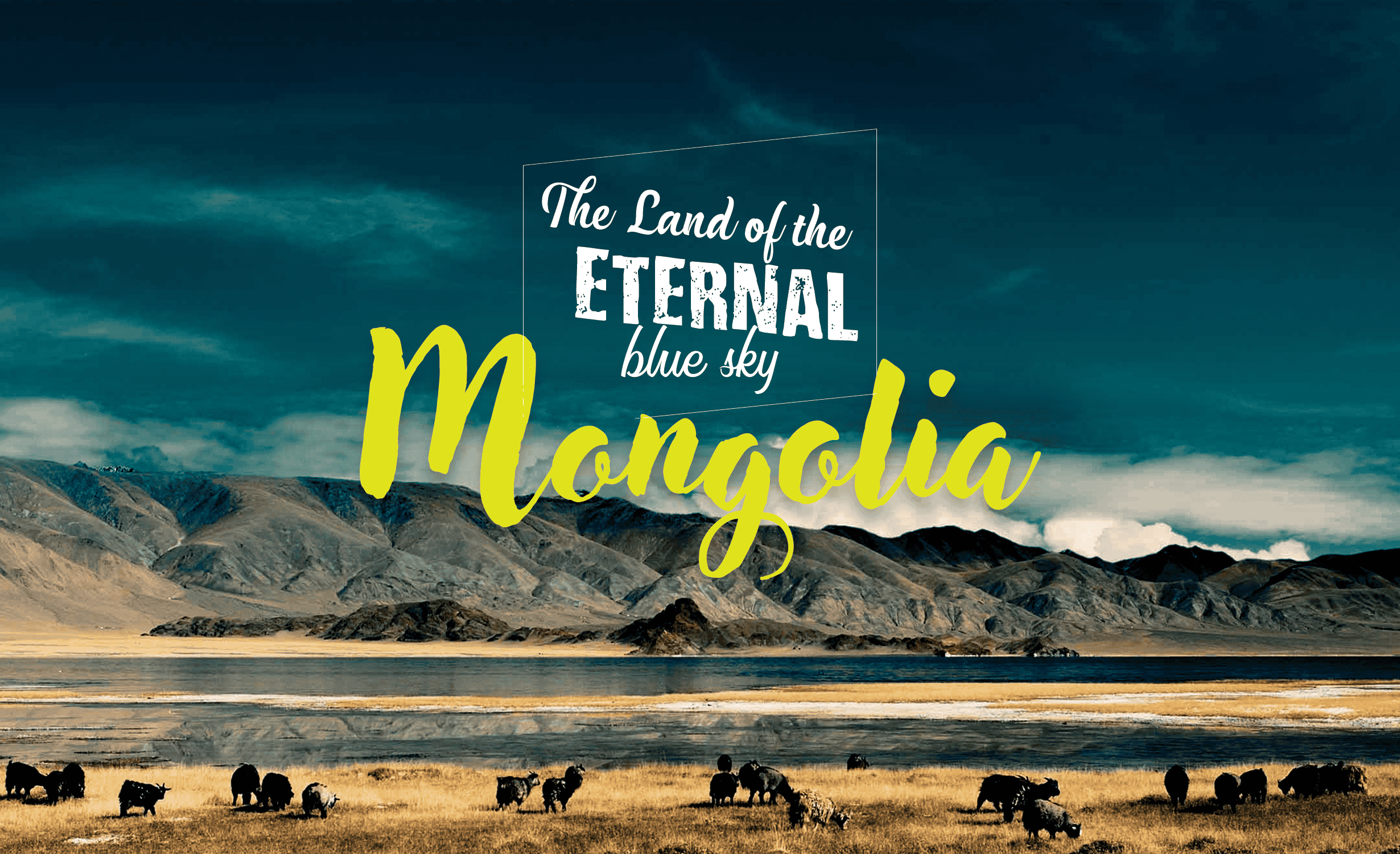 Mongolia's Best Scenes with Two Humped Camel Ride
