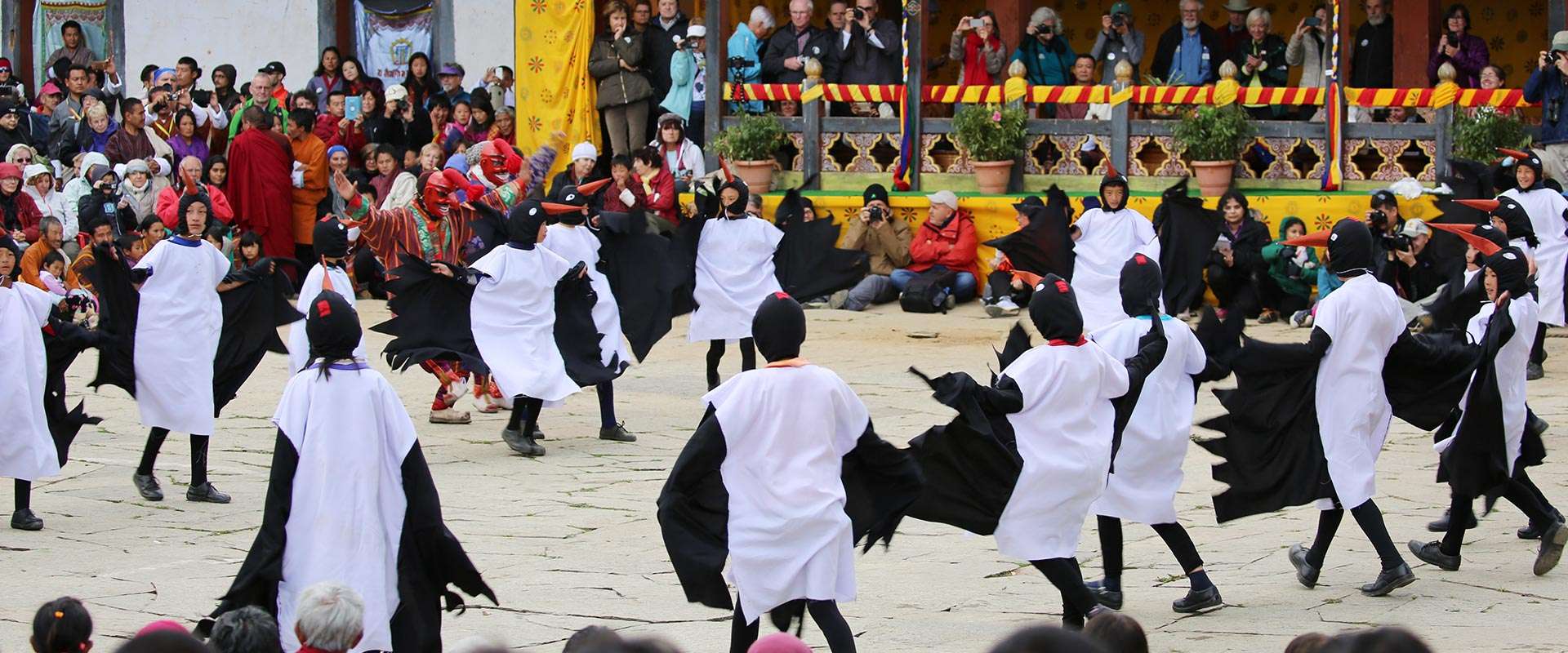 Attend The Annual Black-Necked Crane Festival
