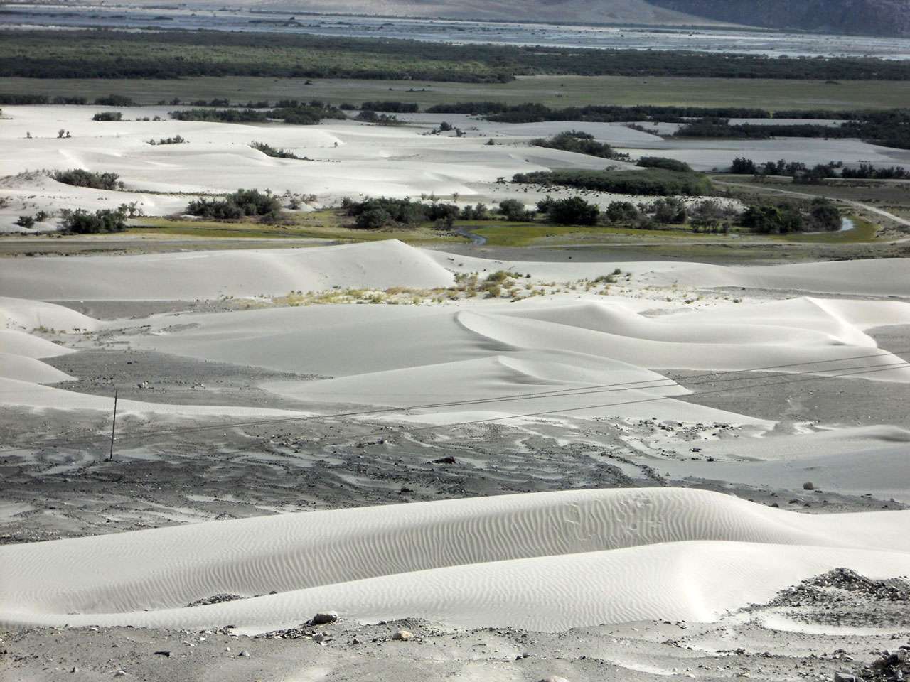Quad Biking in Nubra Sand Dunes