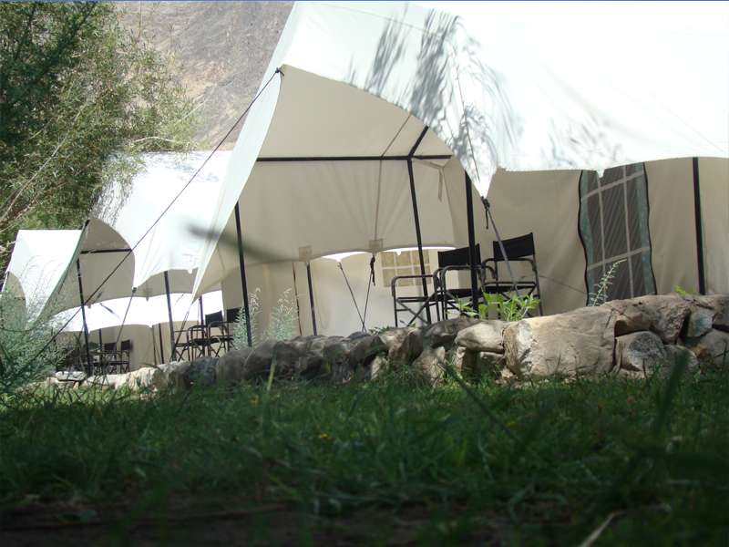 Double Humped Camp Hunder