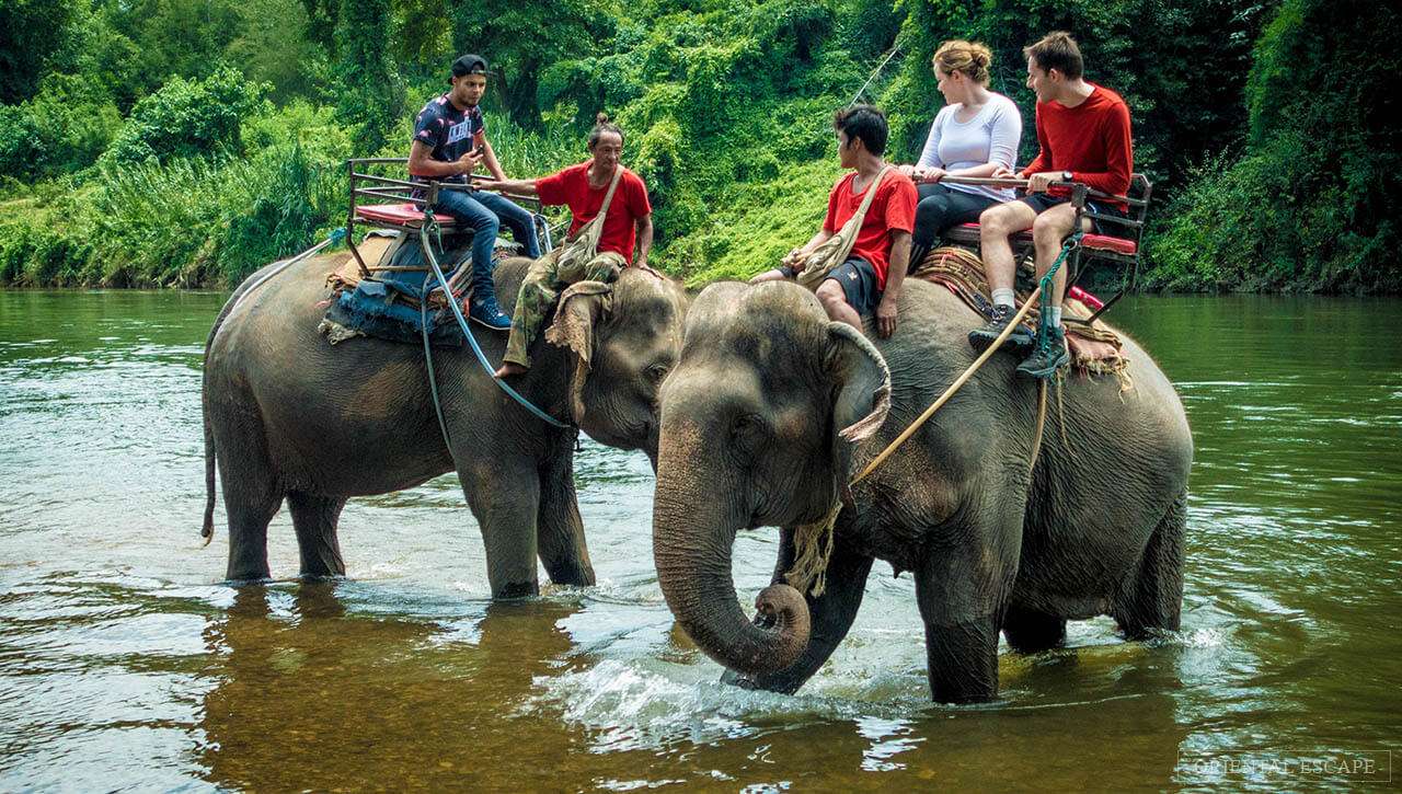 Take an Elephant Ride at Krabi Elephant Camp