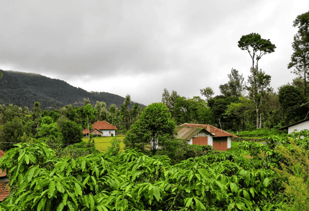 Private Cottages Amidst Mountains and Coffee Plantations, Chikmagalur