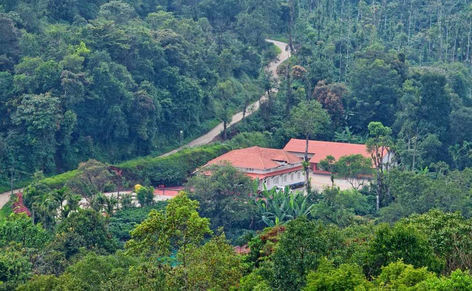 Luxury Homestay Amidst Coffee Plantations in Chikmagalur