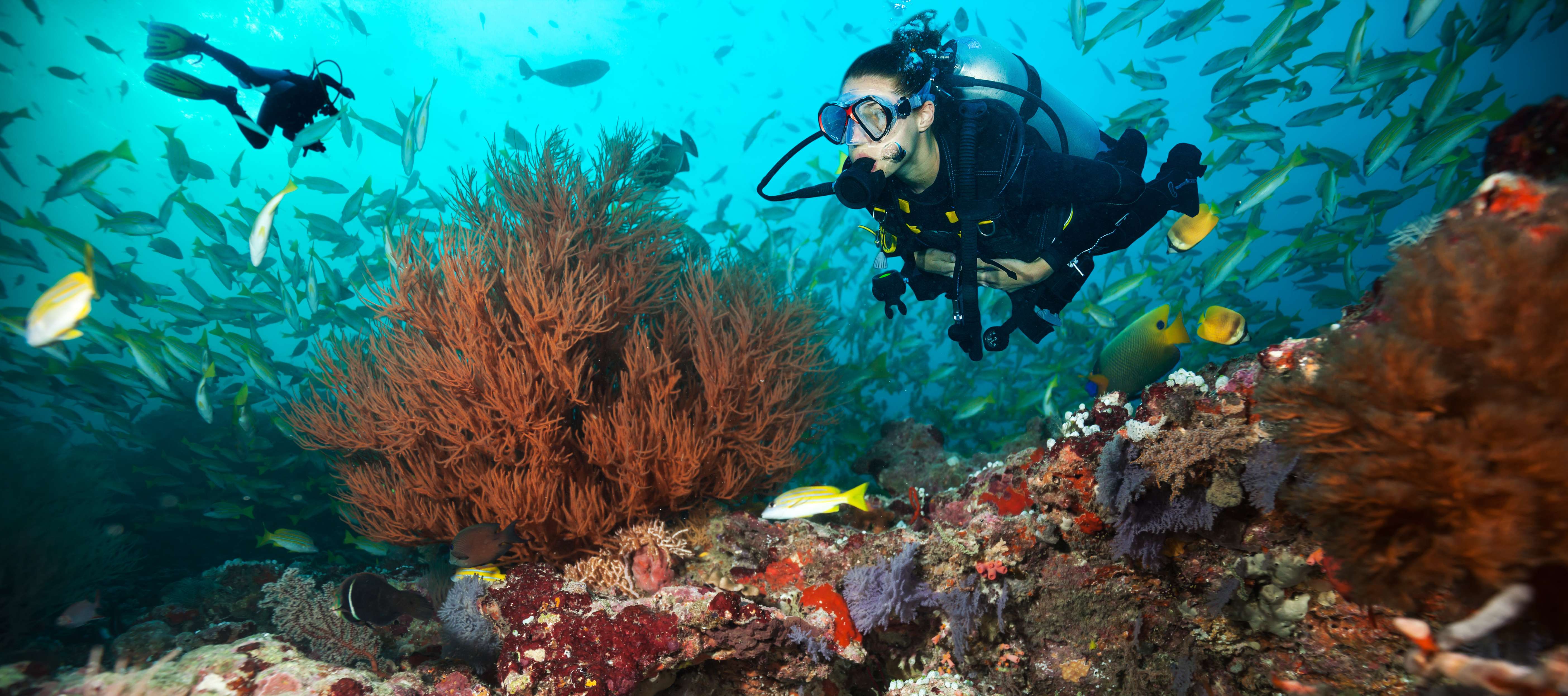 Scuba Diving in Phuket | Book Online @ Flat 20% off