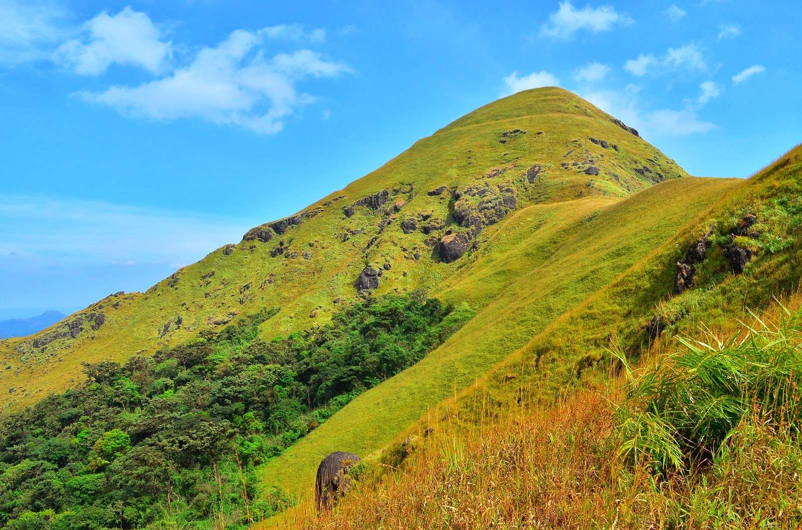 Trekking to Jenukal Gudda