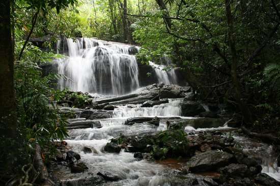 Witness the View of Hadlu Waterfall