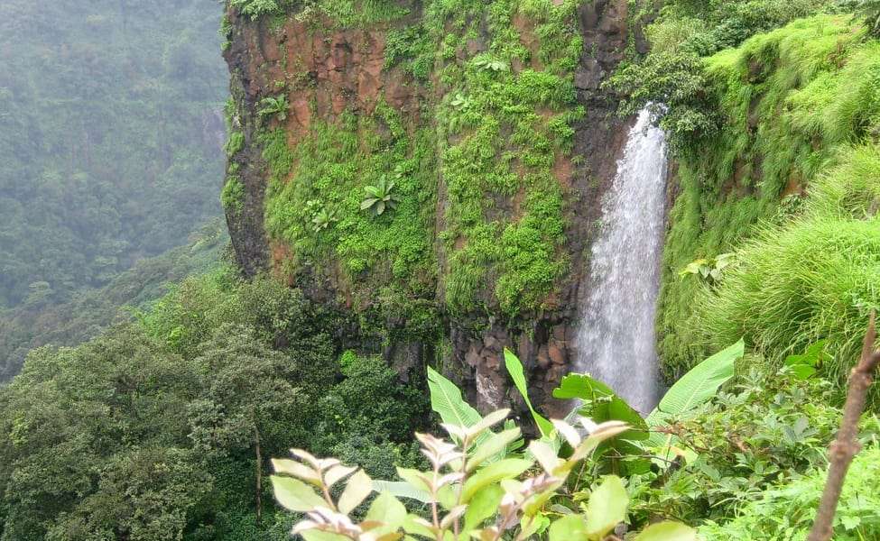 Amboli (489 Km from Mumbai)