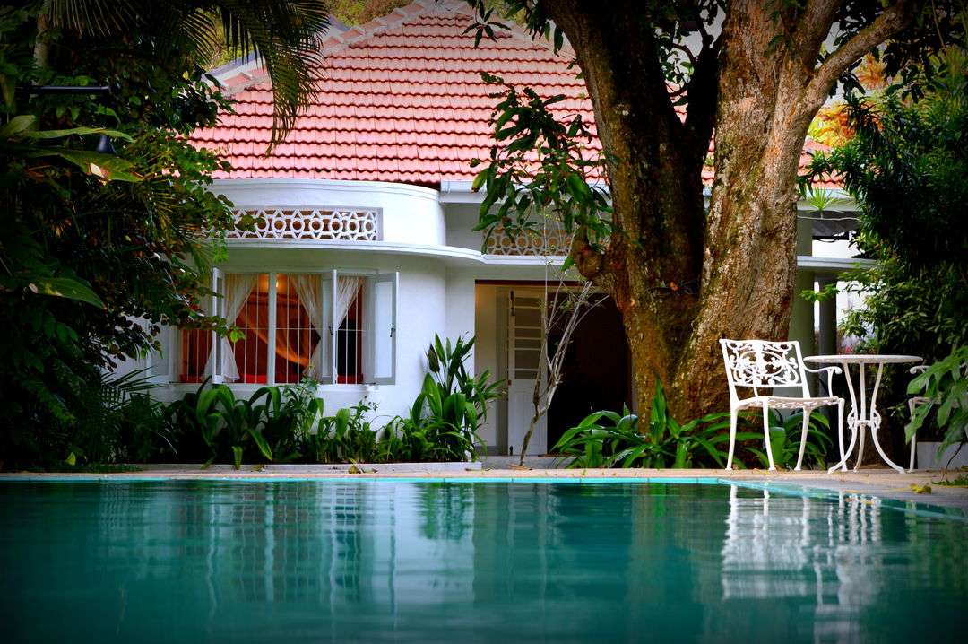 Coziness Guaranteed at CozyNest!