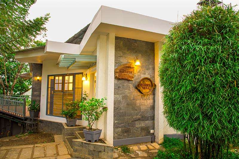 Mistletoe Munnar Homestay