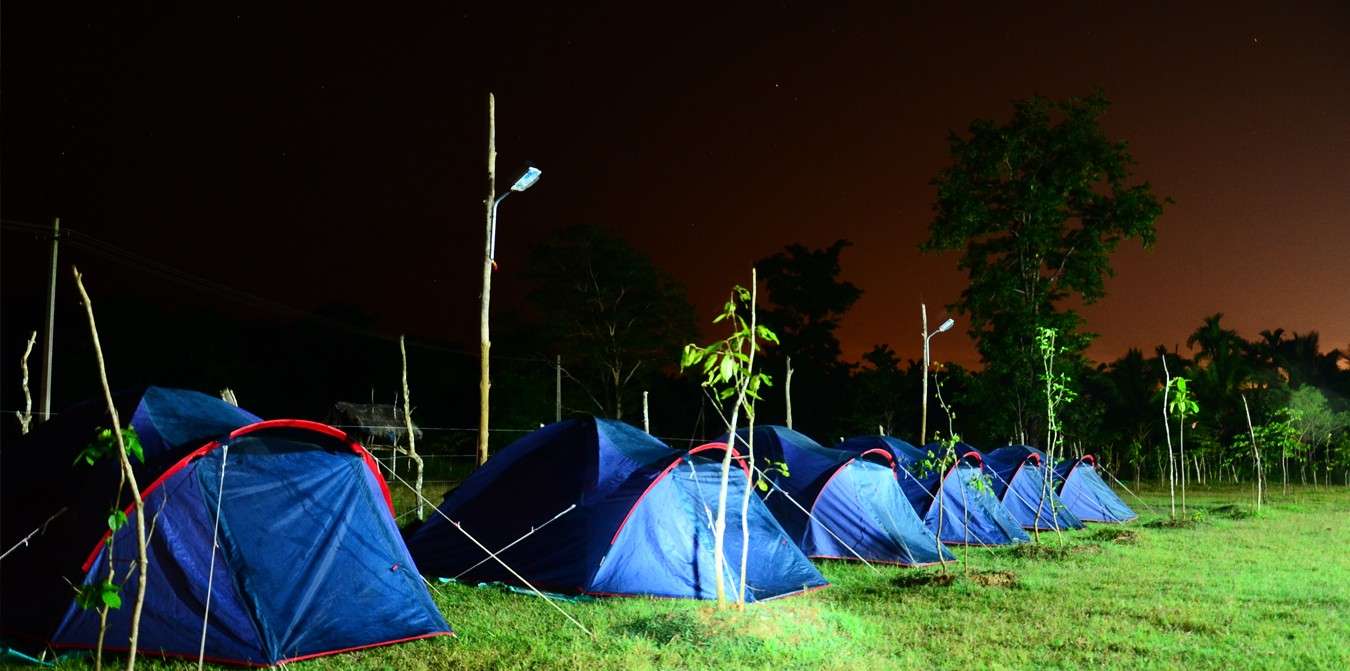 Panther Stay Jungle Resort