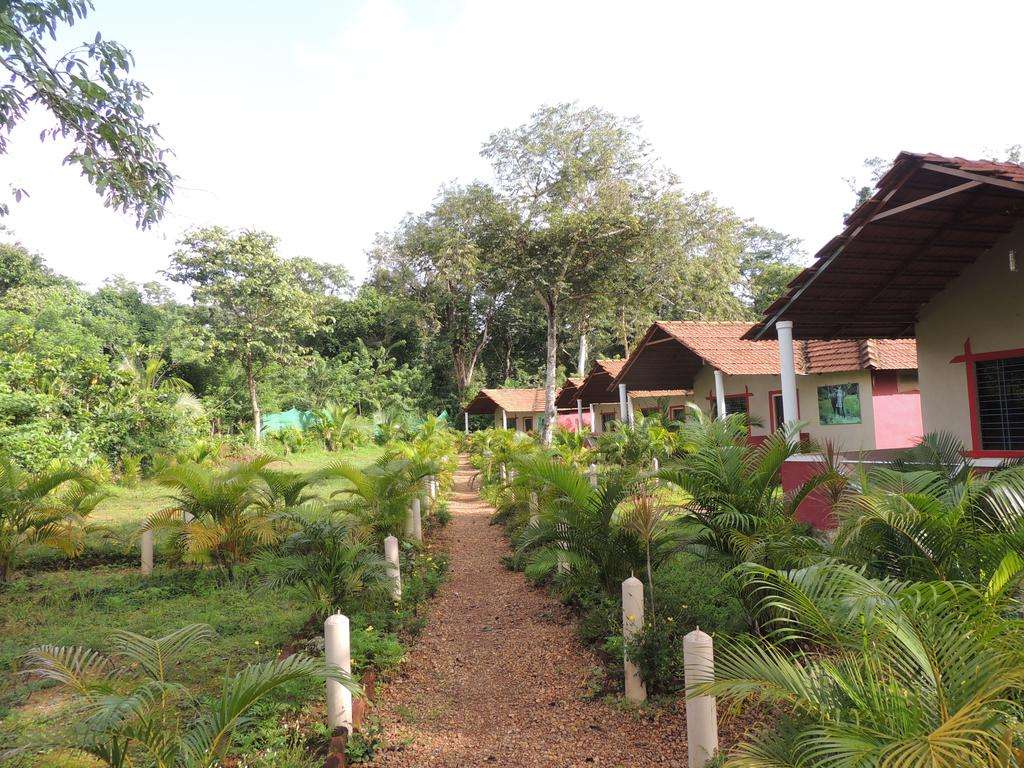 Jungle Nest Resort